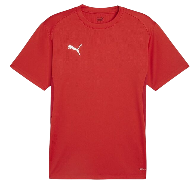 Puma teamGOAL T-Shirt Rövid ujjú póló